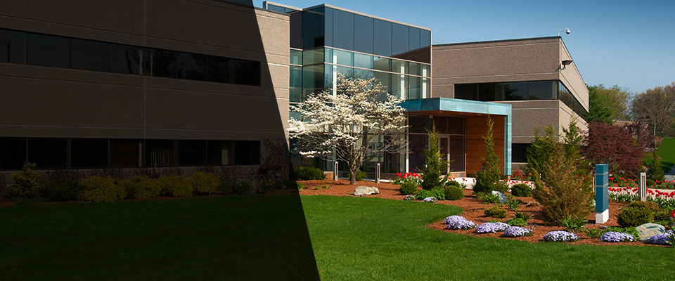 Spring Mills Landscapers