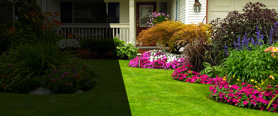 Spring Mills Landscapers