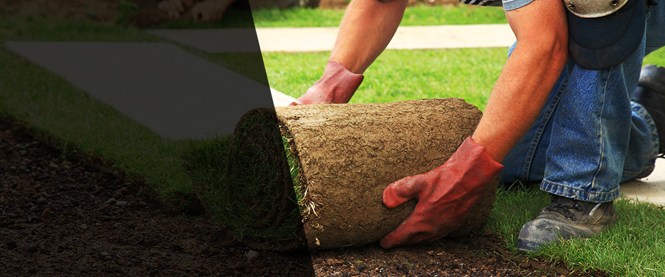Spring Mills Landscapers